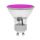 Magenta 1.8 watt Special Effect Decorative GU10 LED Spotlight Bulb