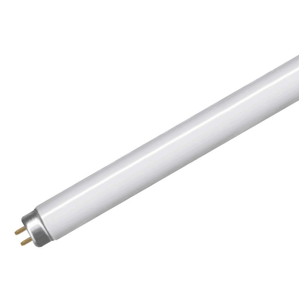 onvoorwaardelijk Herziening Antagonist 58 watt 5ft Standard White T8 Fluorescent Tube