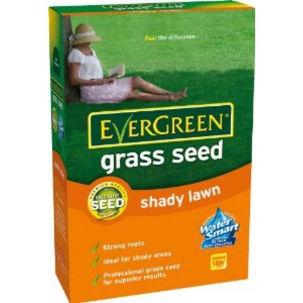 420g EverGreen Shady Lawn Grass Seed