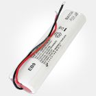 Eterna EB9 NI-CD 4.8V 600MAH Emergency Side by Side Battery