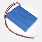 Eterna EB18 LI-ION 3.2 volt 4500MAH Side-By-Side Battery